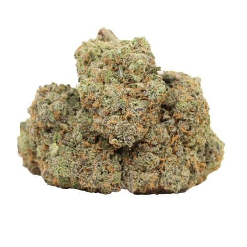 Comatose OG strain cannabis