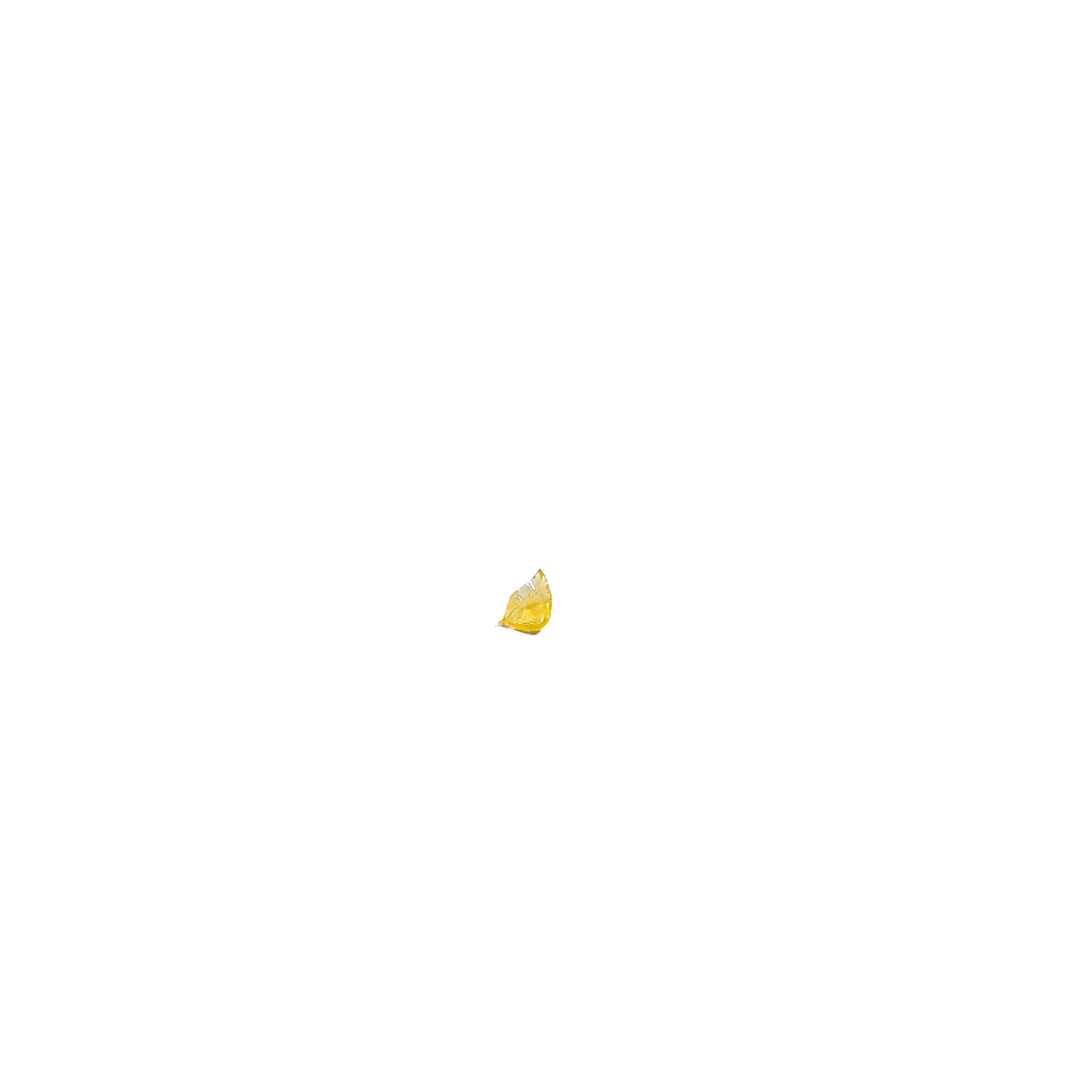 Dr. Who Shatter concentrates