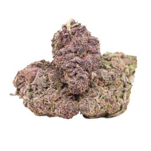 Grape Krush strain cannabis