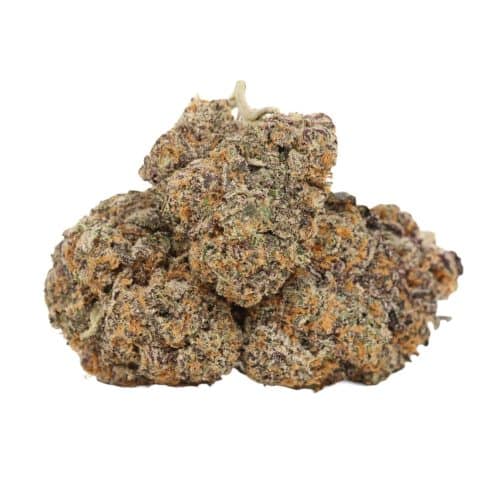 High Octane OG strain cannabis