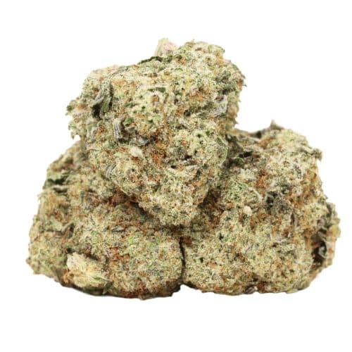 High Society strain craft cannabis