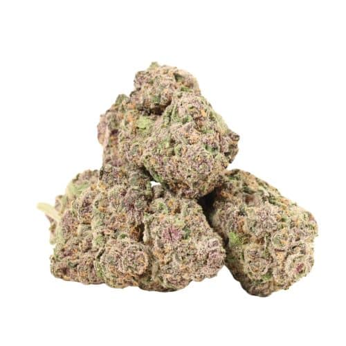 Huckleberry Soda strain cannabis