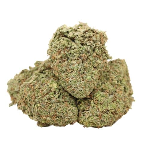 Lemon Sour Diesel strain cannabis