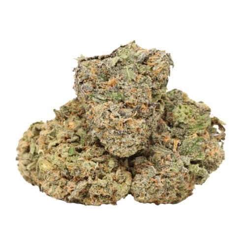 Northern Lights strain cannabis