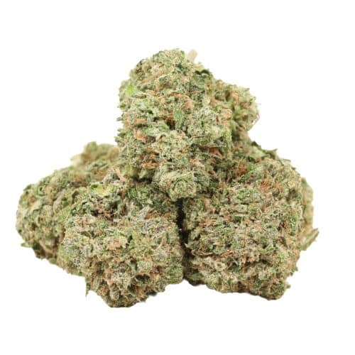 Pink Rozay strain craft cannabis