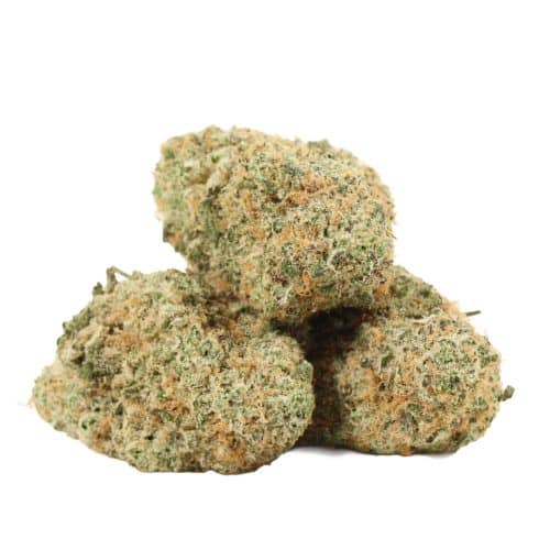 Quadzilla strain craft cannabis