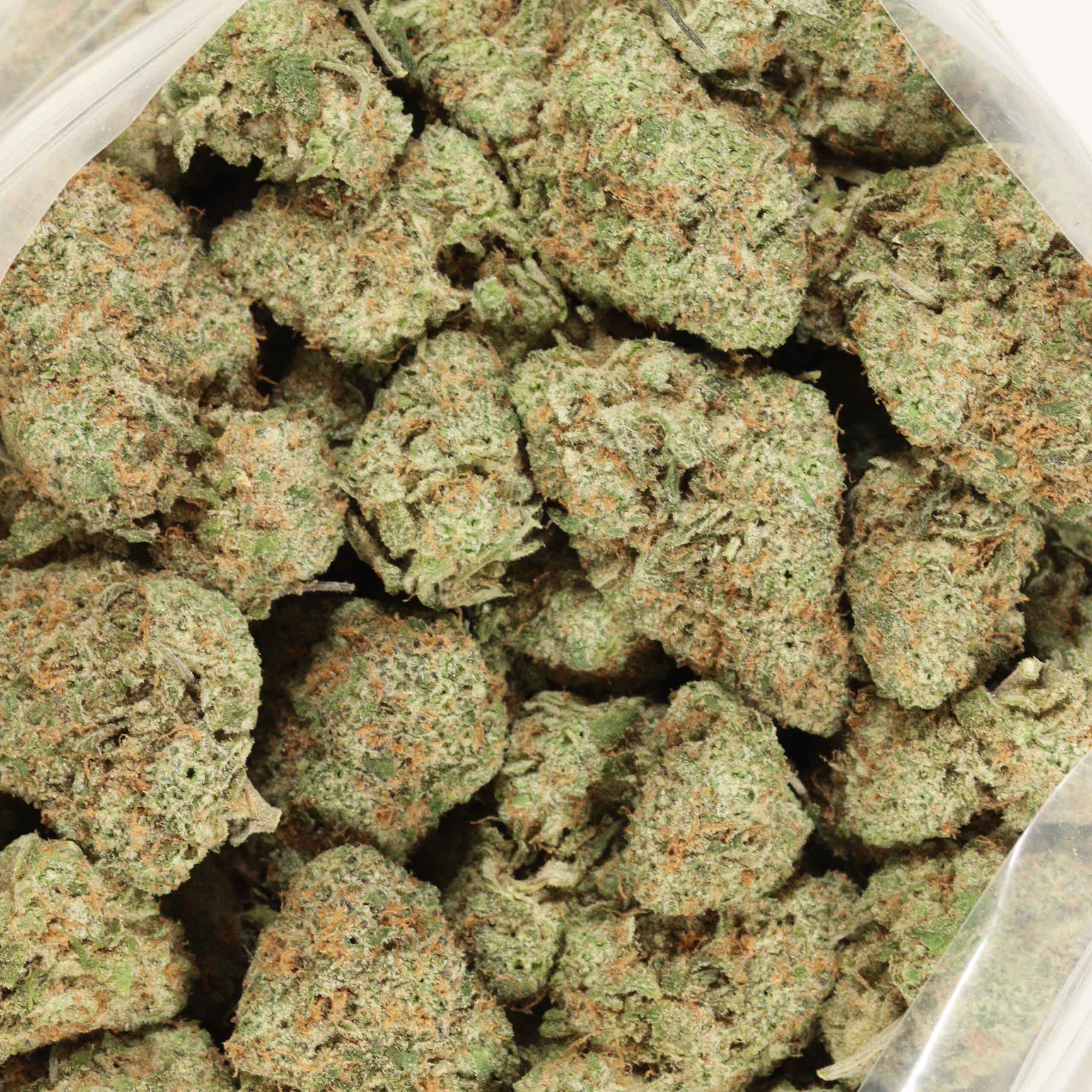 Quadzilla craft cannabis