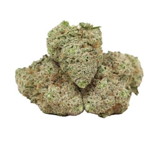 Silver Haze strain cannabis