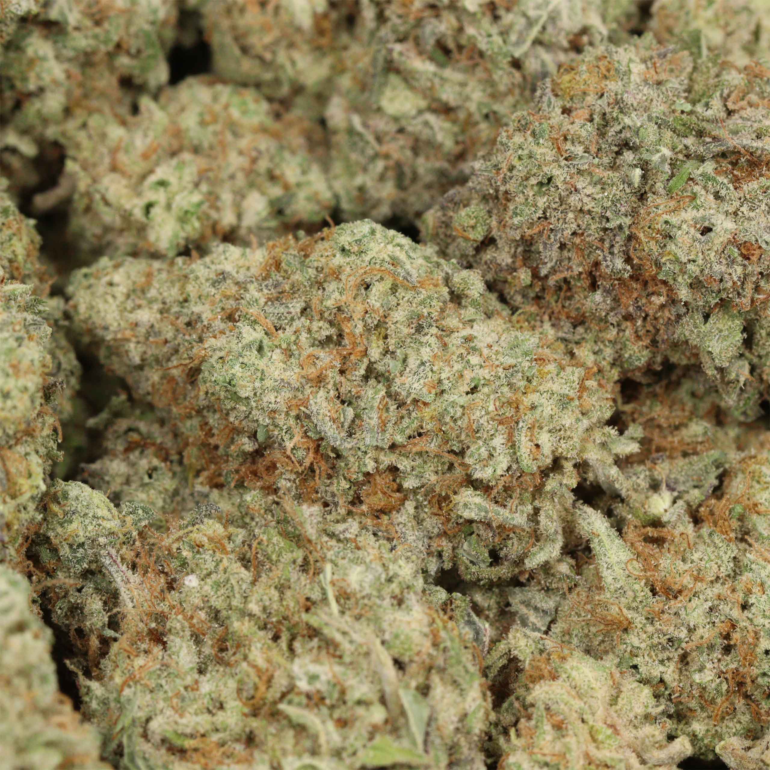 Sour Apple Killer cannabis