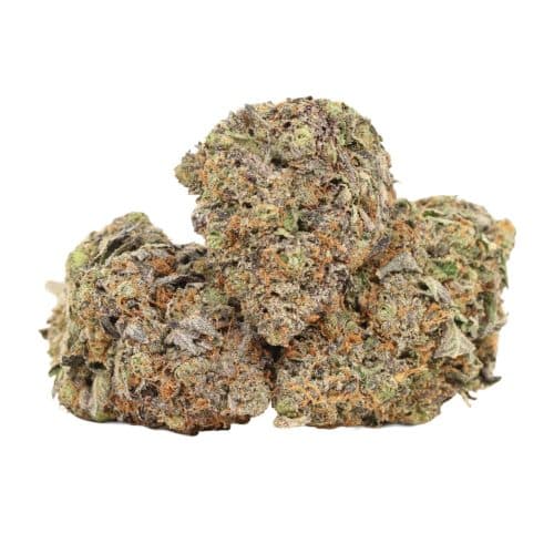 Super Pink Goo strain craft cannabis