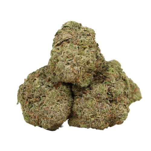 Tom Ford Pink Kush strain cannabis