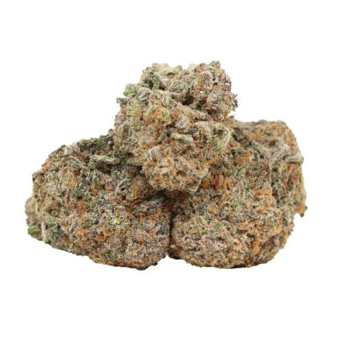 Violator Kush strain cannabis