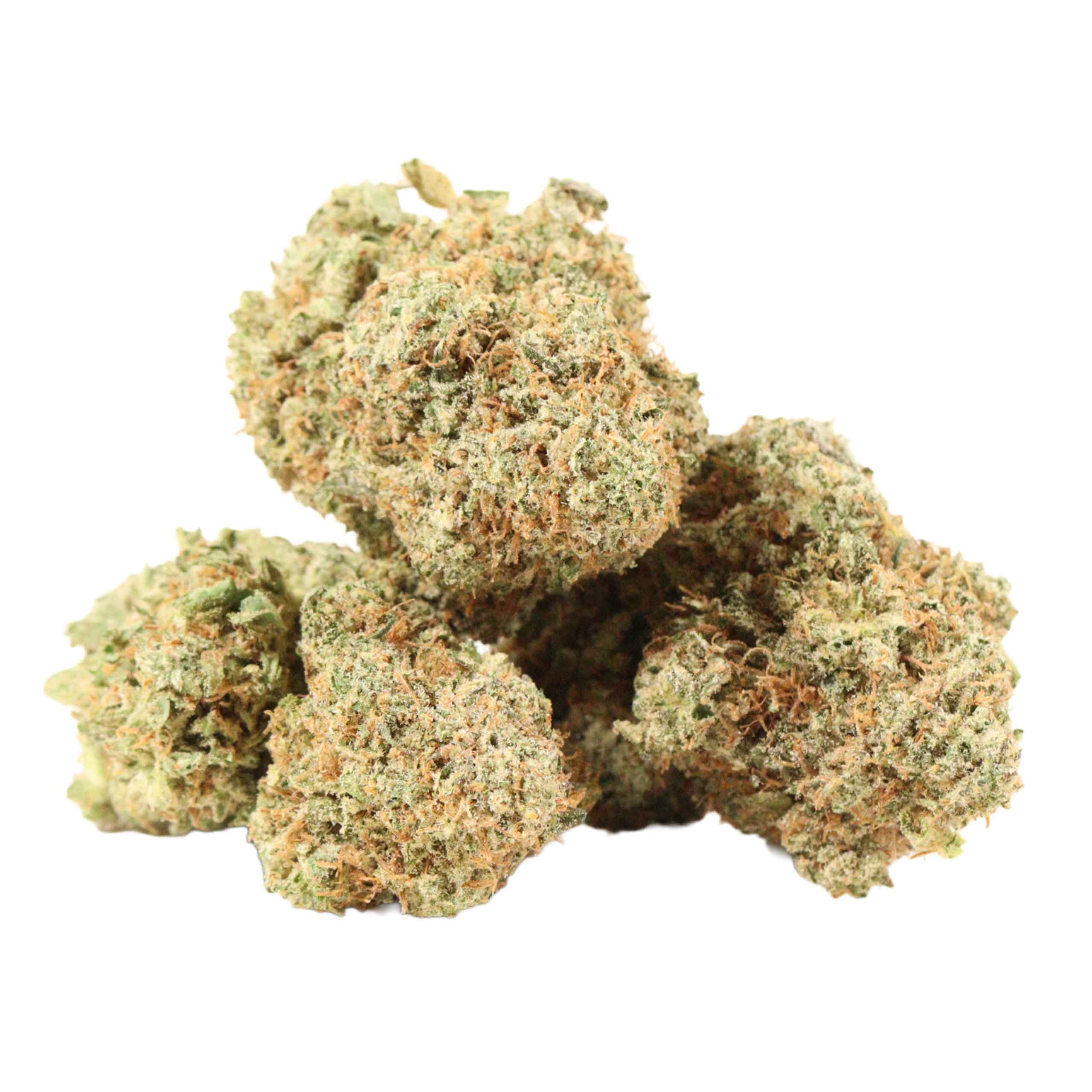 afghani kush strain cannabis