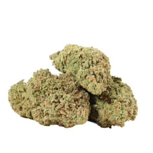 Alaskan Thunder Fuck strain cannabis