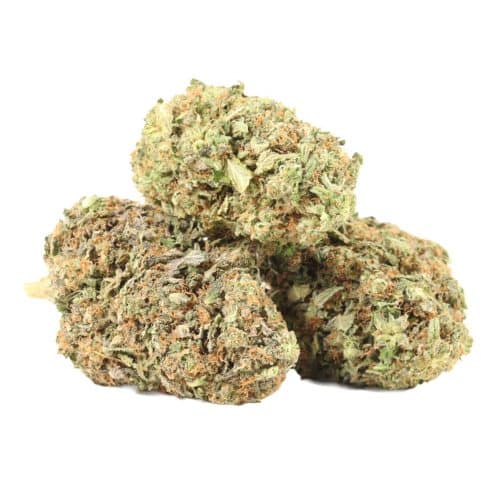 astro pink strain cannabis