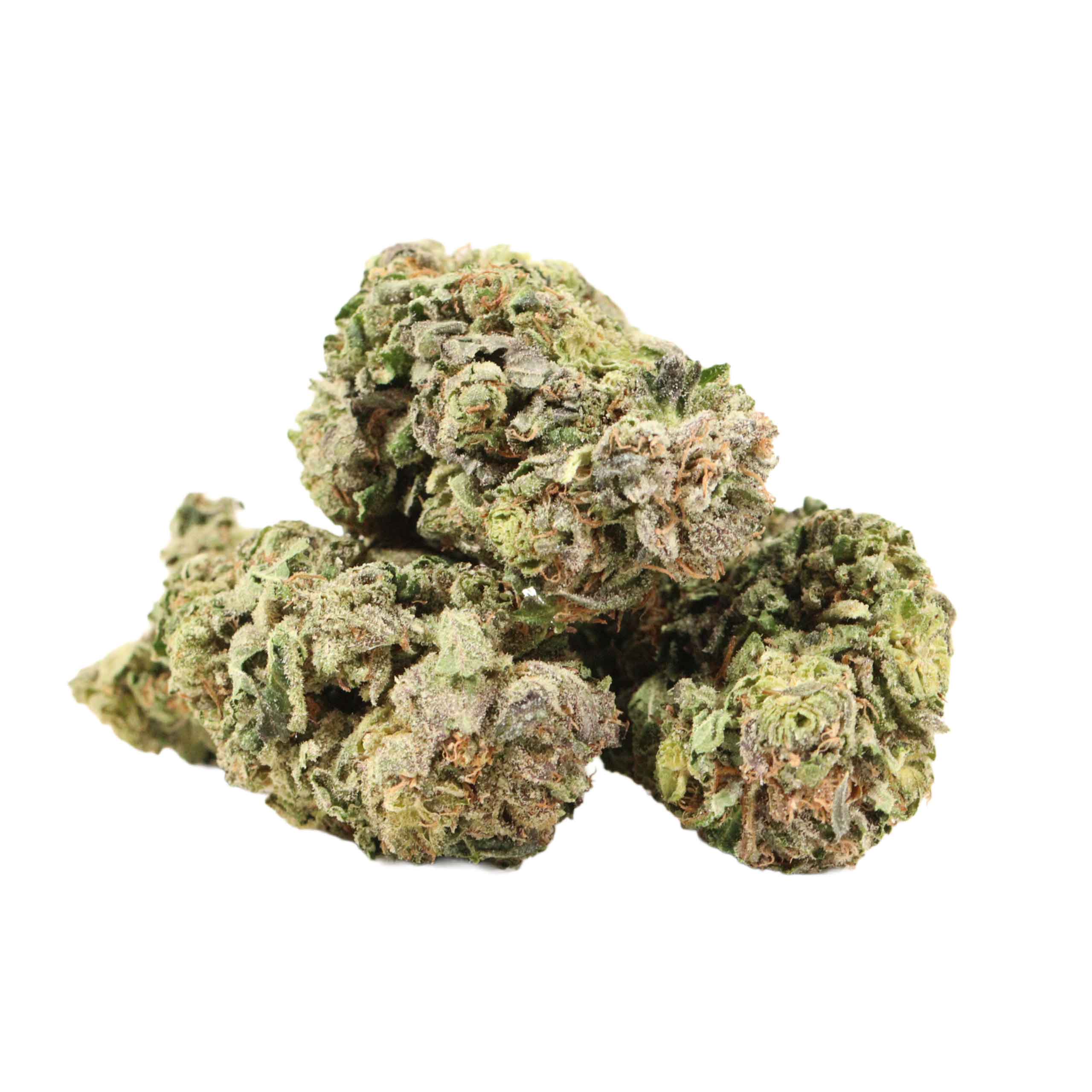 BC Pink Kush strain cannabis