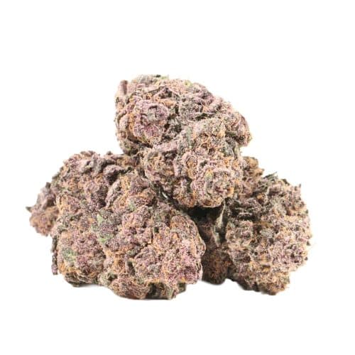 Black Cherry Soda strain cannabis