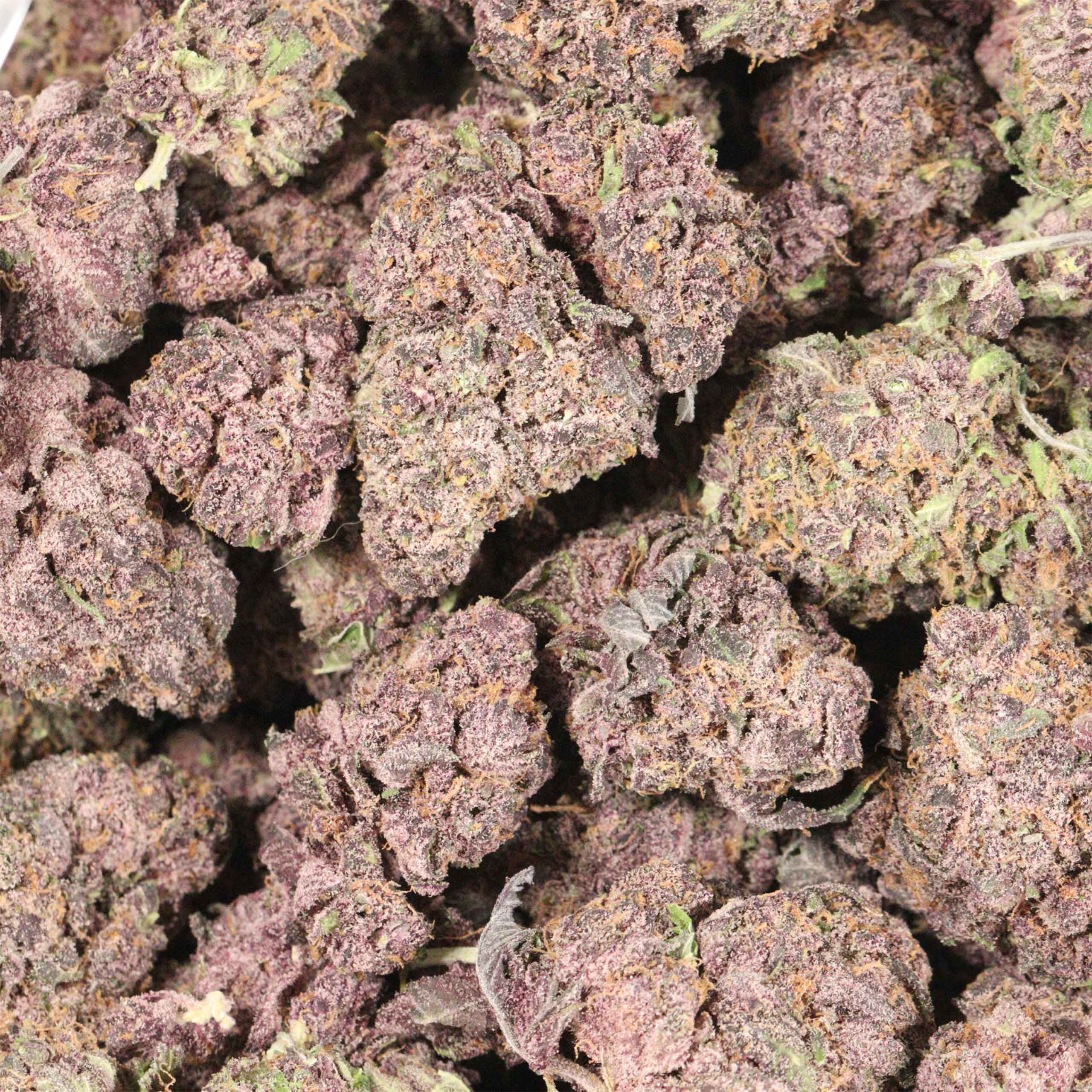 Black Cherry Soda cannabis