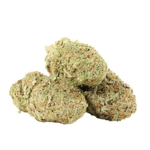 Black Nuken strain cannabis