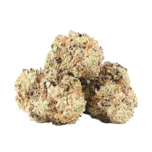 Bruce Banner strain cannabis