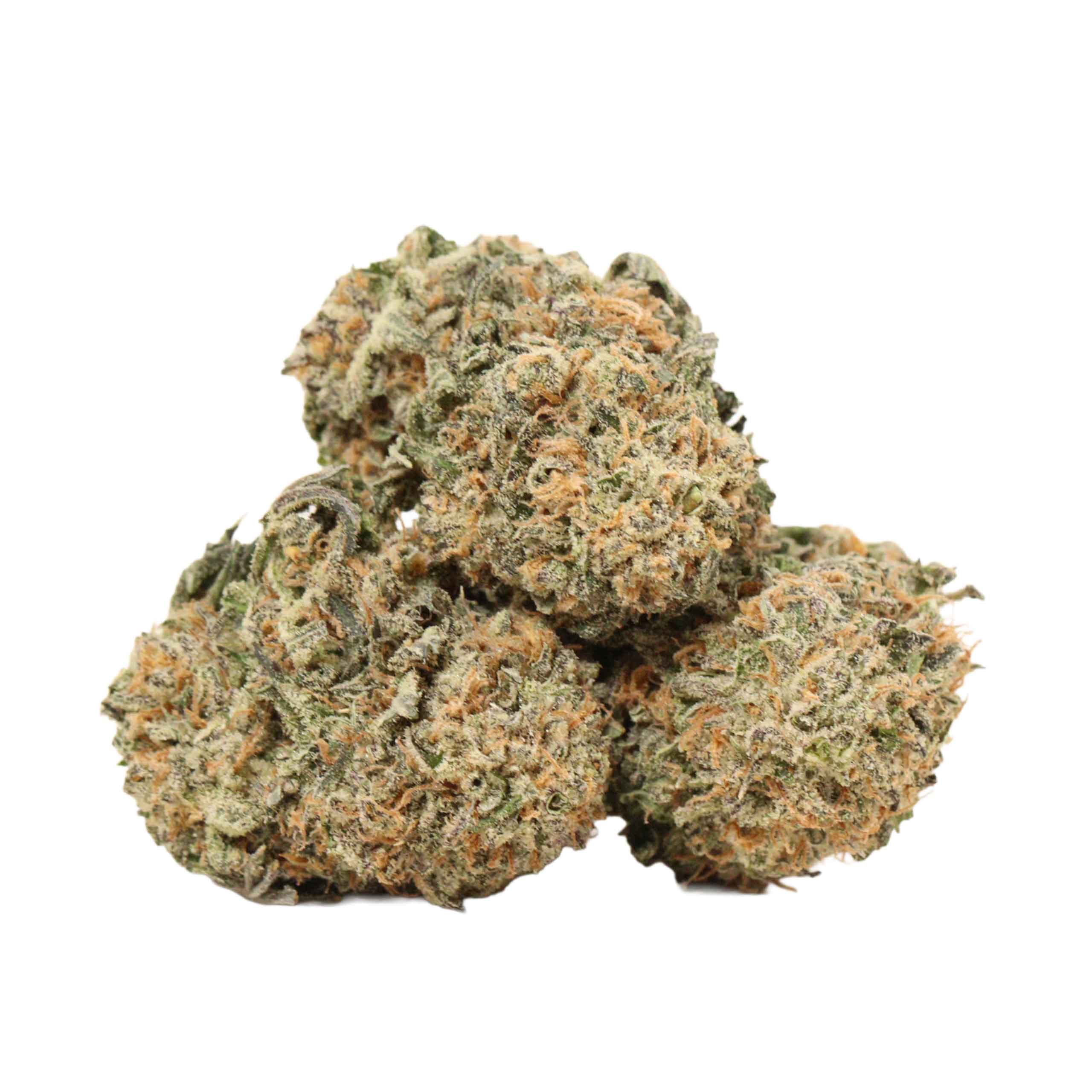 Coma Kush strain cannabis