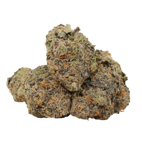 Dank Sinatra strain cannabis