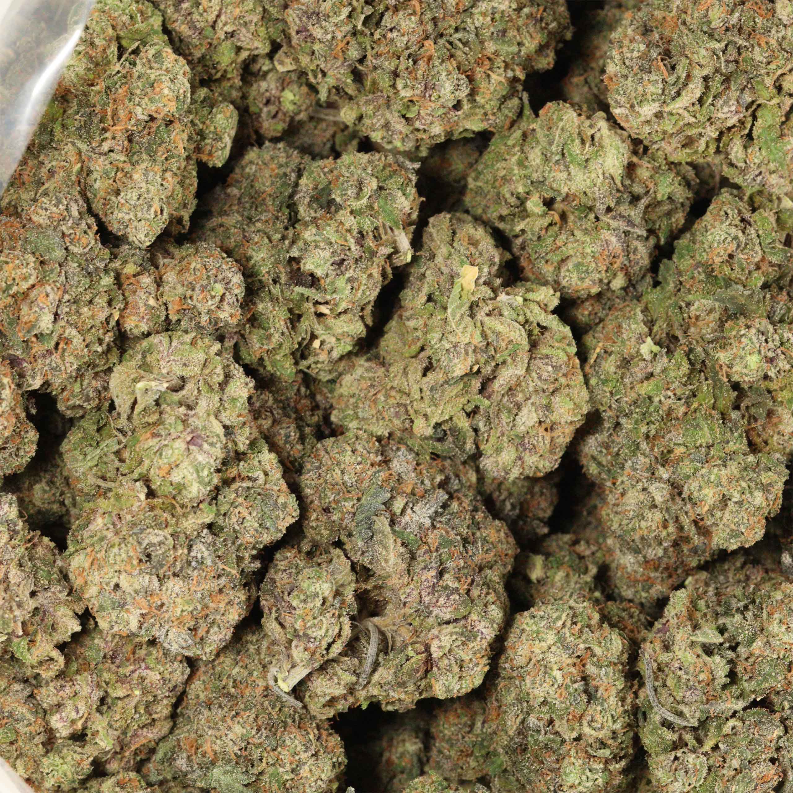 Dank Sinatra cannabis