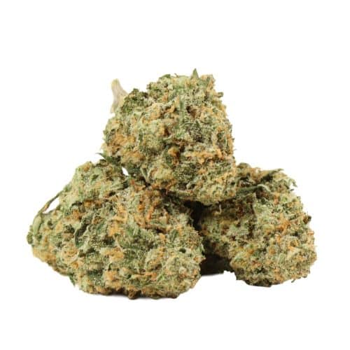 dos diablo strain cannabis