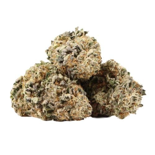 dosido strain cannabis