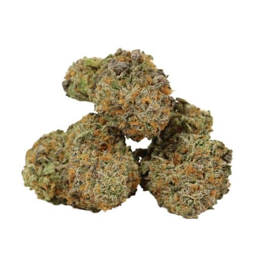 Galactic Punch strain cannabis