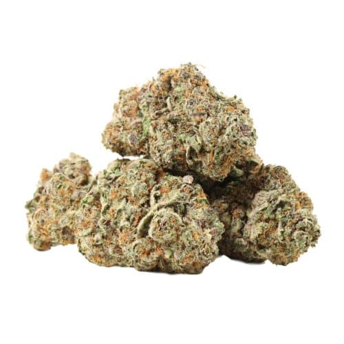 Gorilla Glue #4 strain cannabis