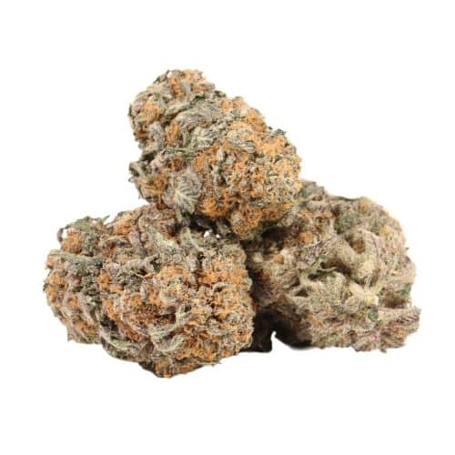Grand Daddy Purple strain cannabis