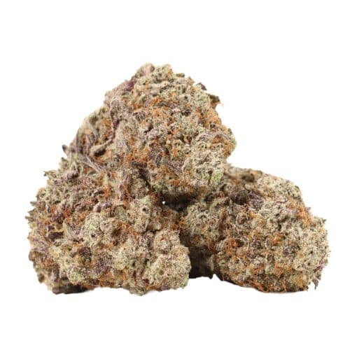 Grand Daddy Purple strain cannabis