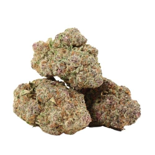 Grape Krush strain cannabis