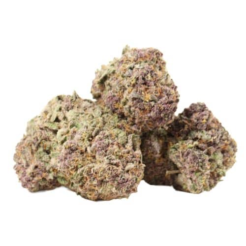 huckleberry soda strain cannabis