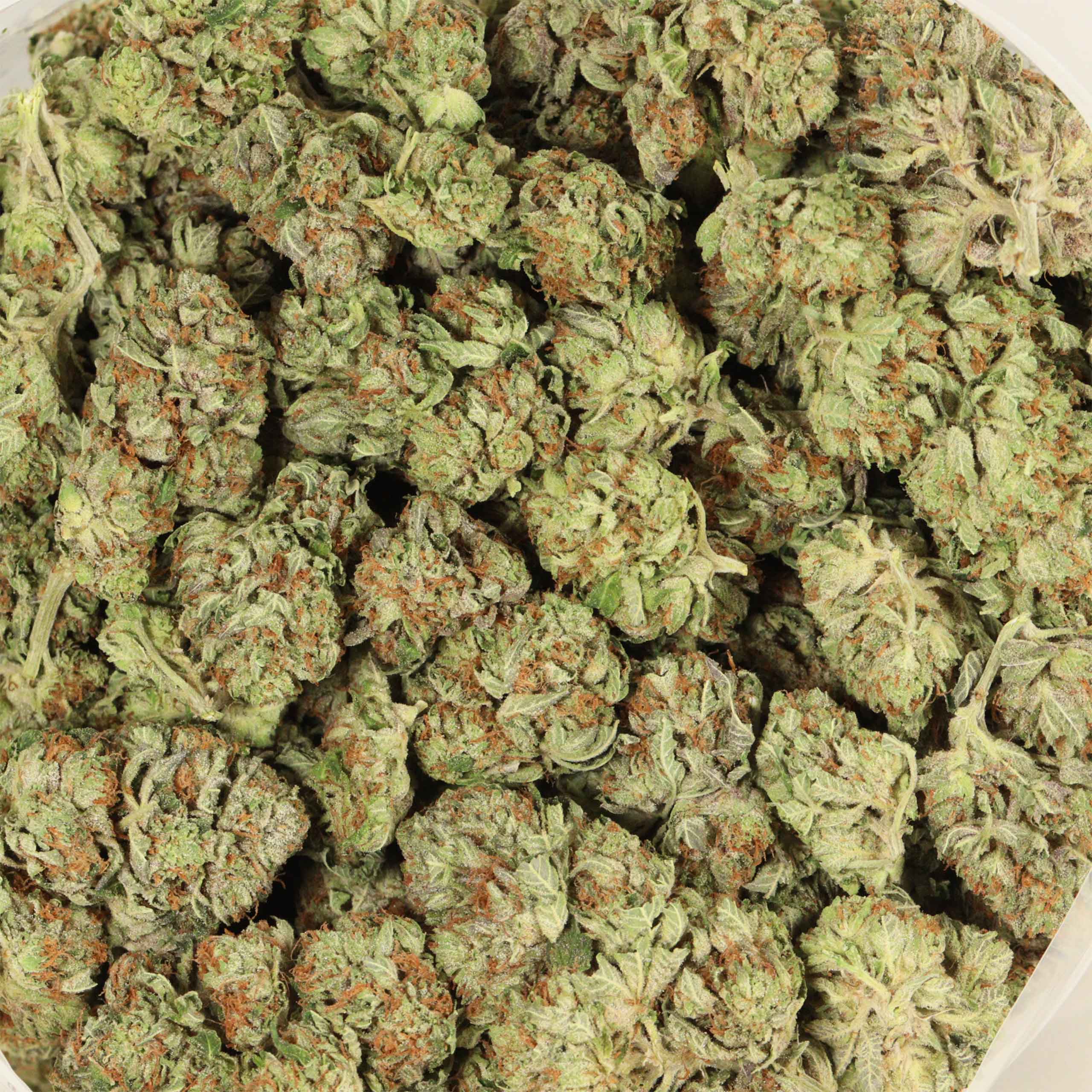 Hydro Death Bubba cannabis