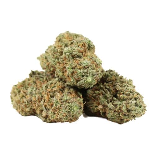 Lemon Skunk strain cannabis