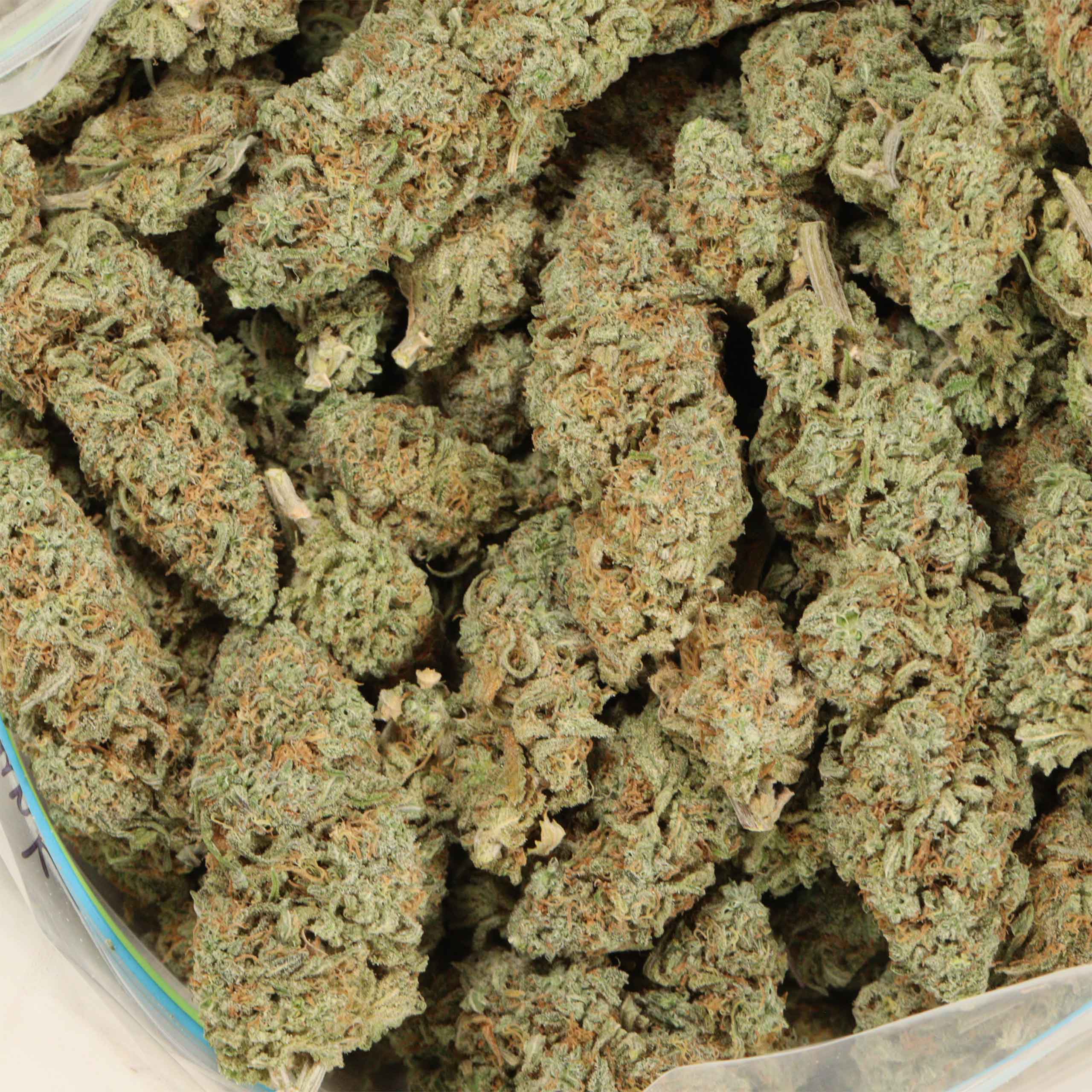 Lemon Skunk cannabis