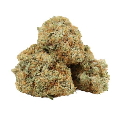 OG Kush strain cannabis