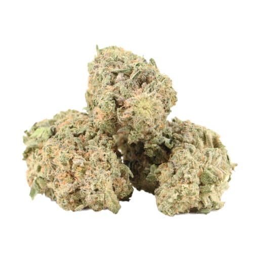 Pineapple Express strain cannabis