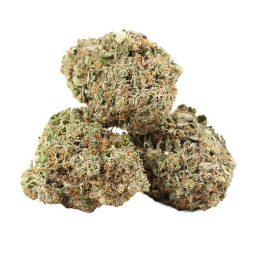 Pink Banner strain cannabis