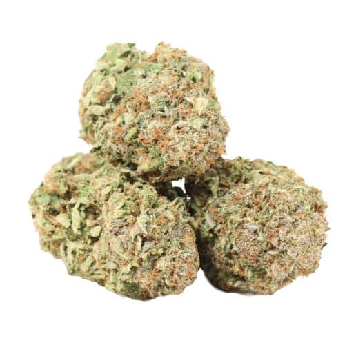 Pink Muerte strain cannabis