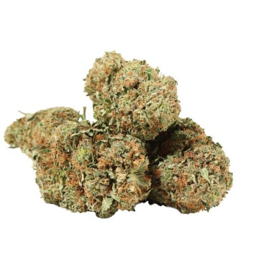 Pink OG strain cannabis