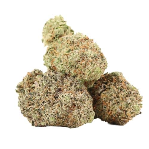 Pink Wagyu strain cannabis