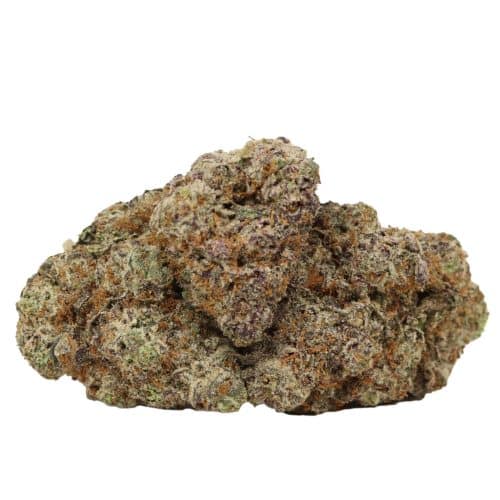 Purple Banana Breath craft strain cannabis