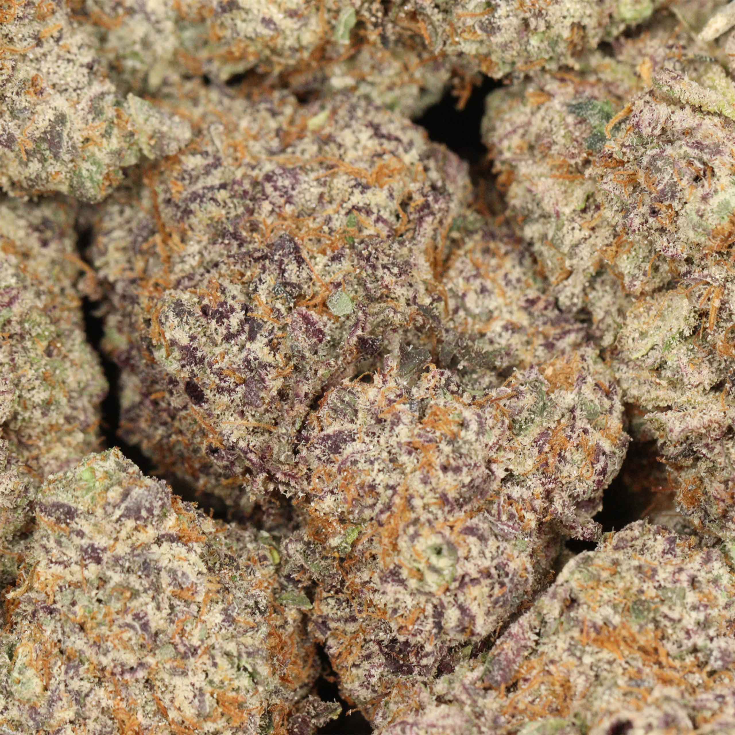 Purple Banana Breath craft cannabis