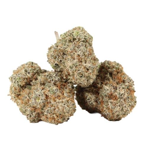 Quadzilla strain craft cannabis