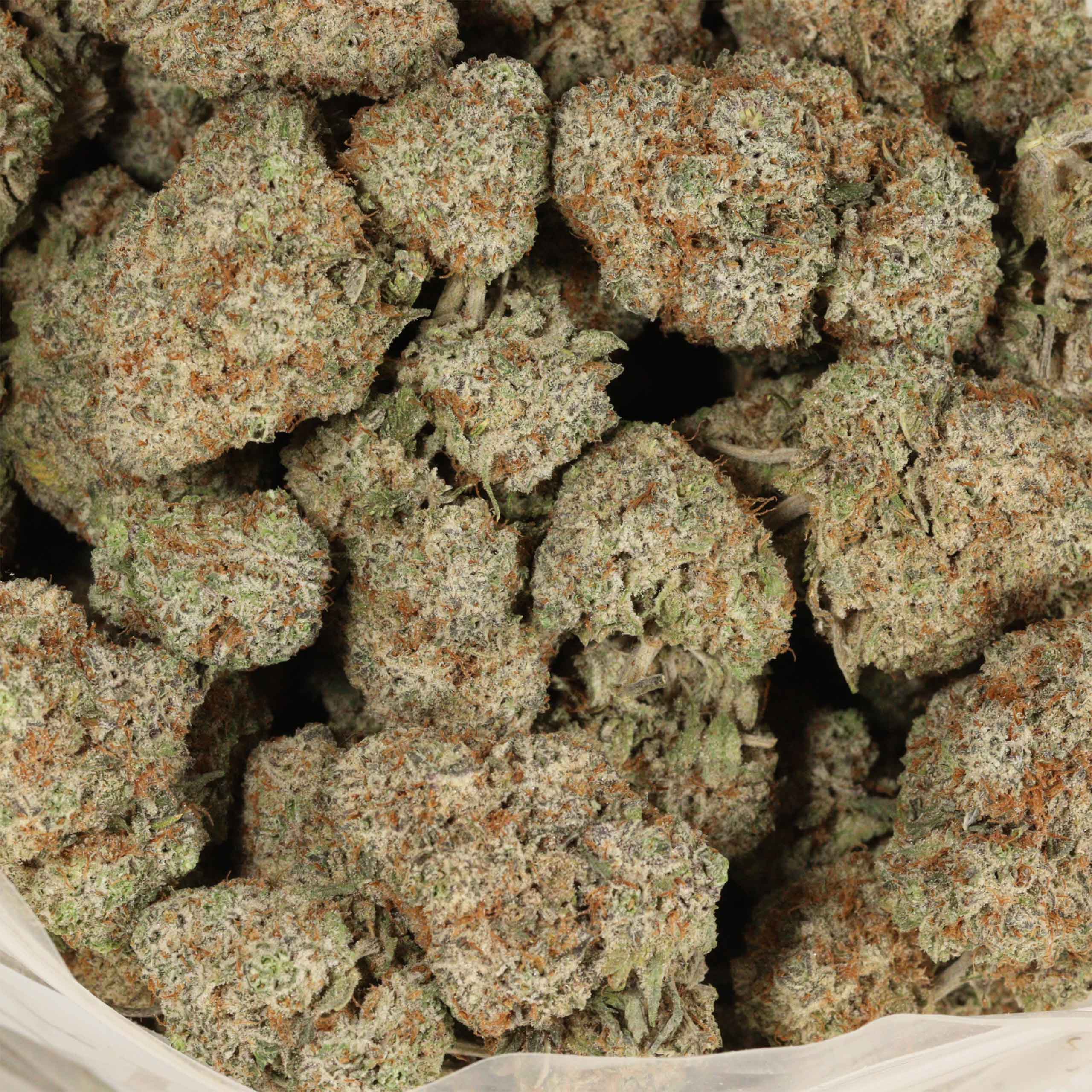 Quadzilla craft cannabis