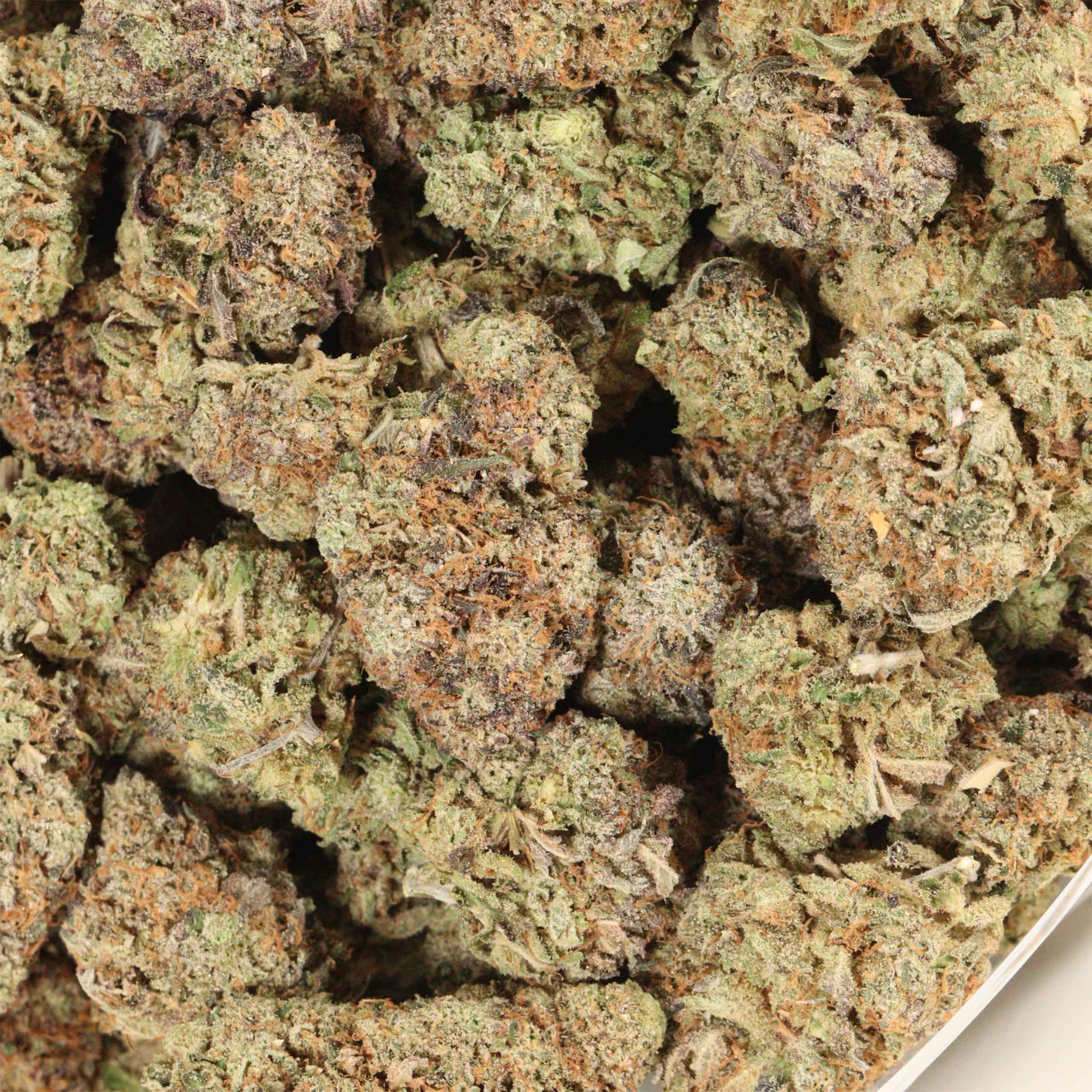 Raspberry Swirl cannabis