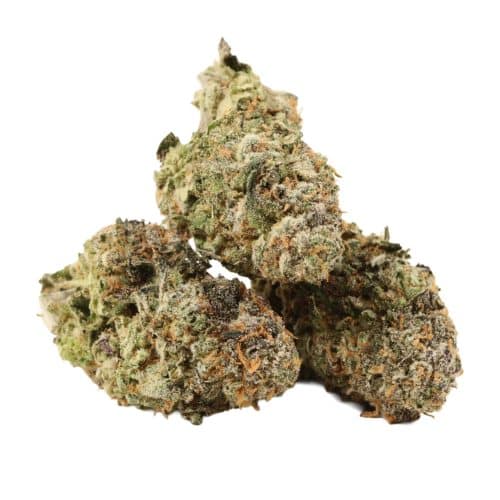 Red Congolese strain cannabis